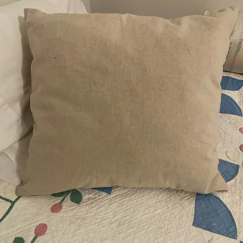 West Elm 20x20” Lush Velvet Light Pink Throw Pillow COVER